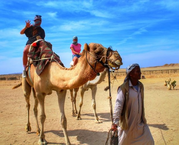 Camel's Riding